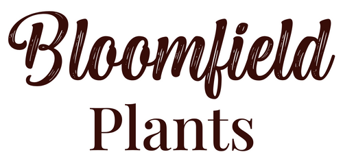 Bloomfield Plants